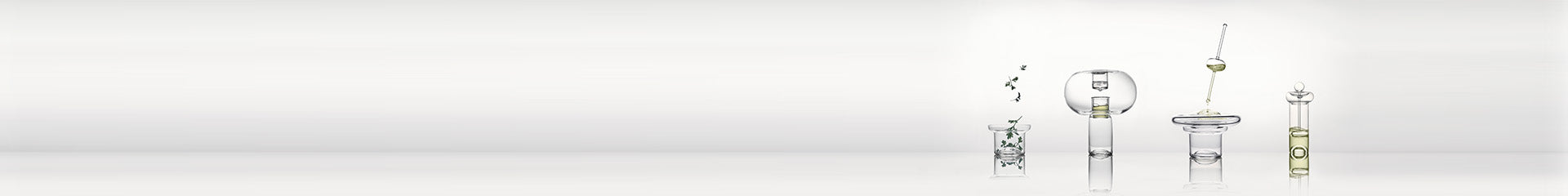 Wide shot of glass lab equipment with botanical extracts.