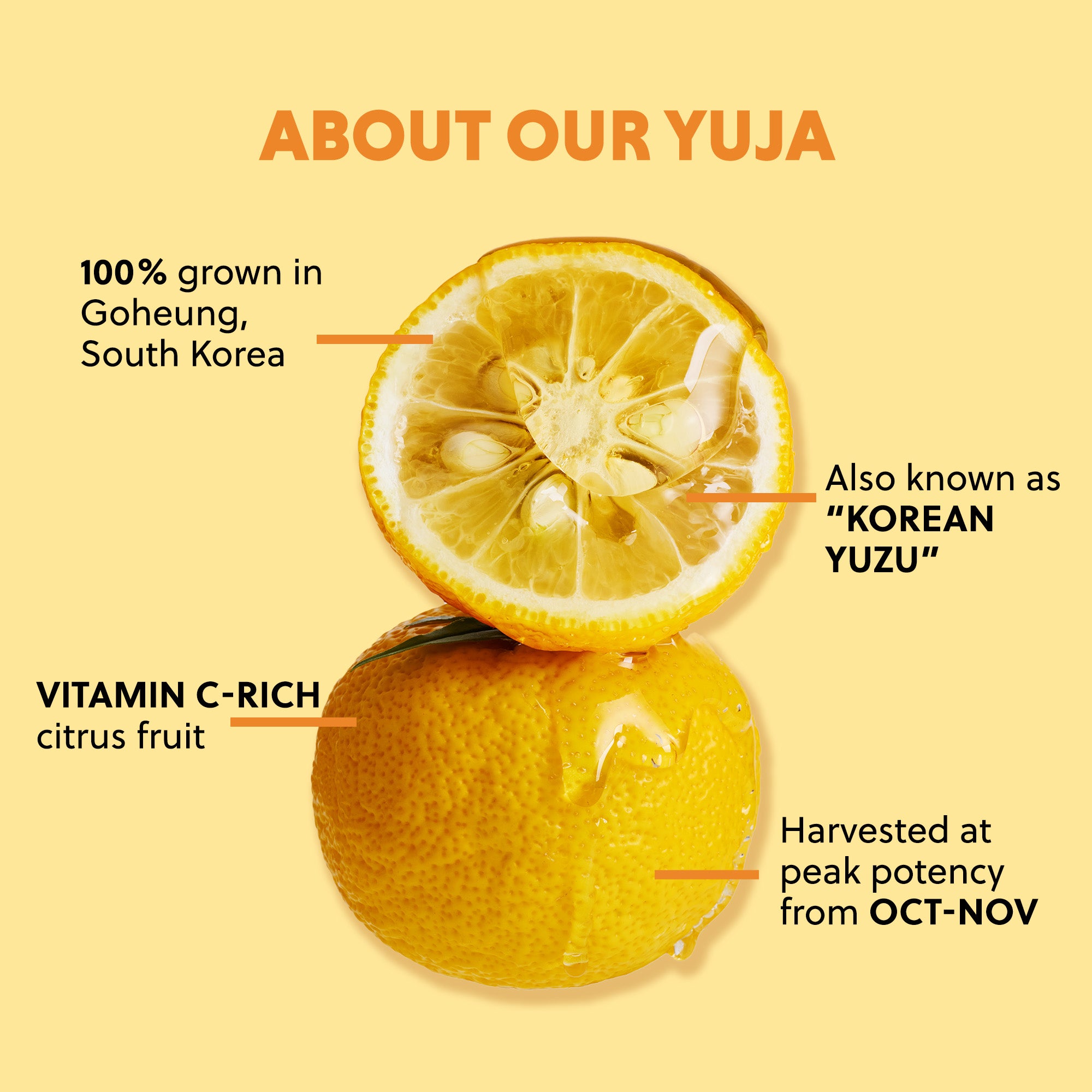 Introduction to Yuja C Vegan Vitamin featuring Yuja peel oil, fermented Yuja water, and niacinamide for brightening and antioxidants.