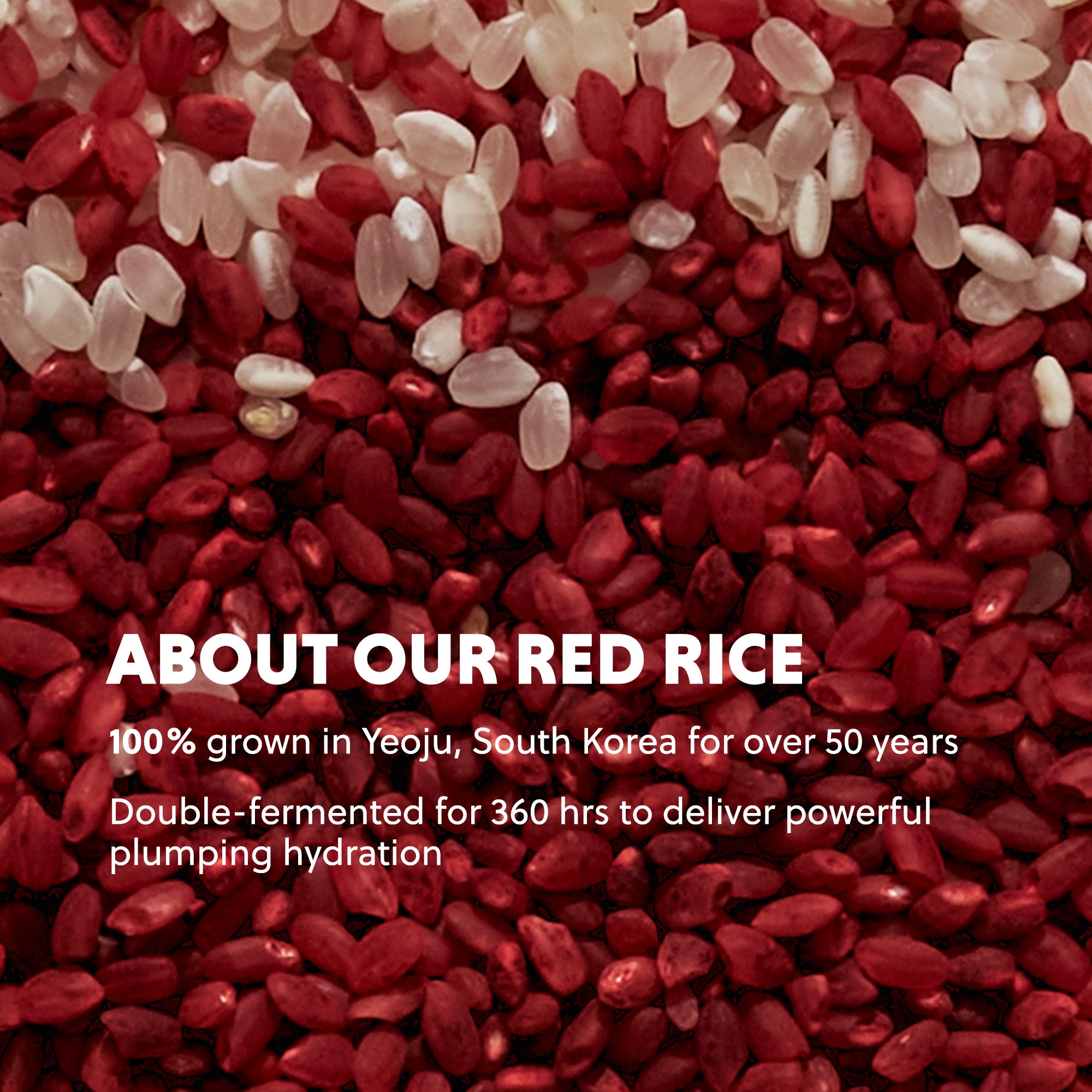 RED RICE HYDRATING CREAM